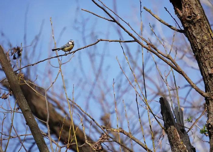 Casa vacanze Julia *